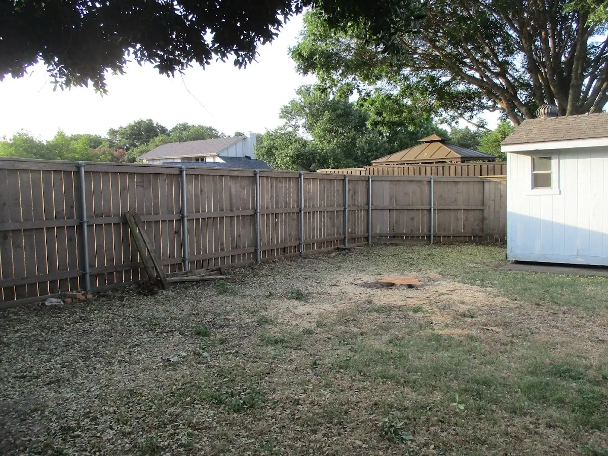 Cleared yard after professional tree removal in South Orange