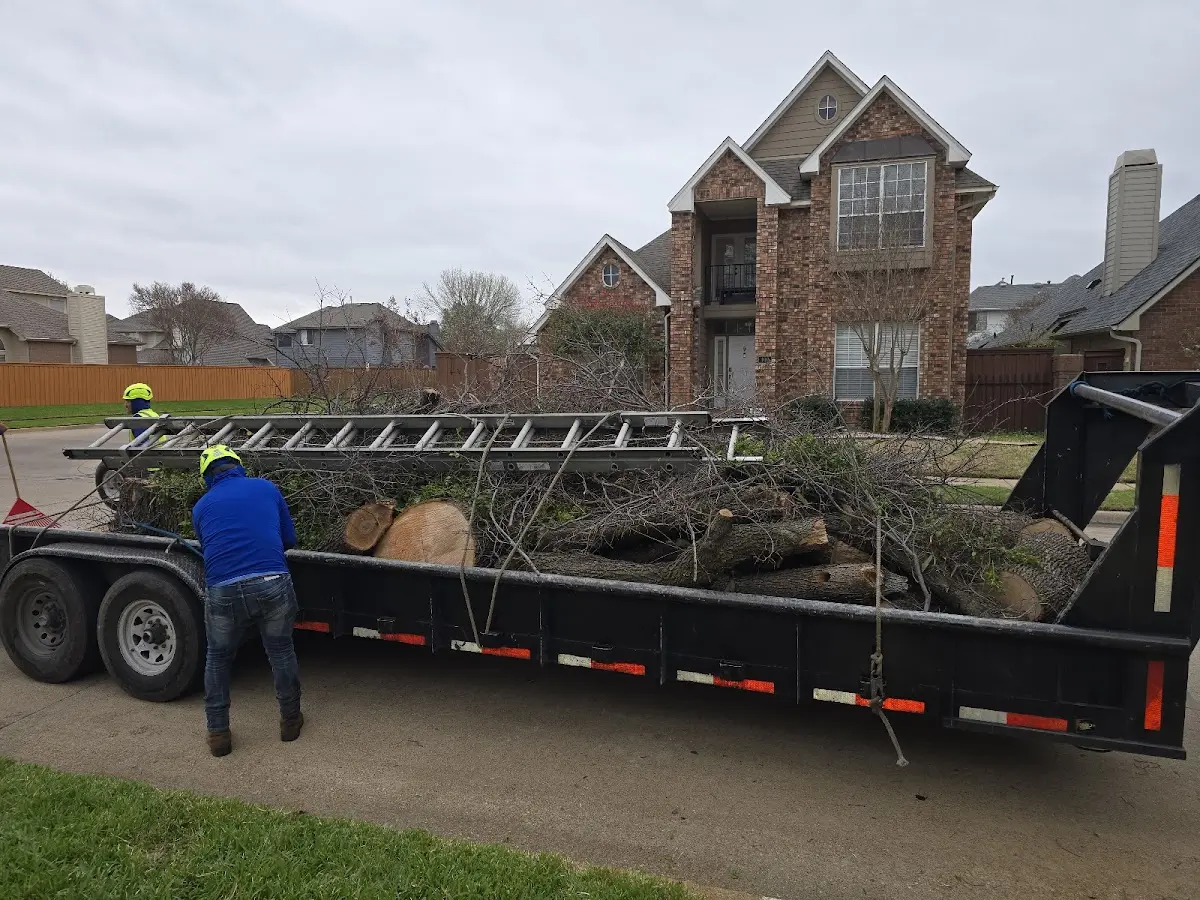 Expert Tree Removal with proper safety equipment in South Orange